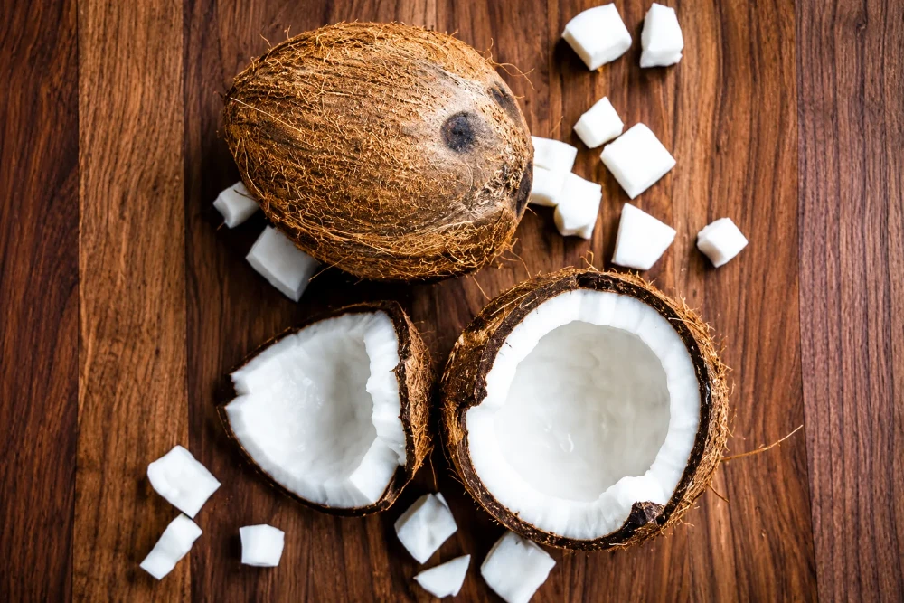 Fresh whole cooking coconut from The Native Herd farms near Bengaluru